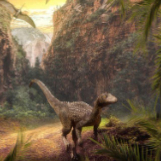 恐龙演化成鸟类，是进化还是退化？