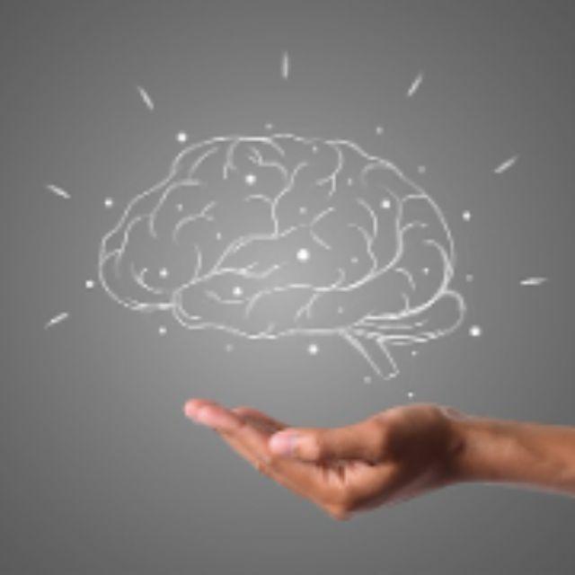 人的大脑真的是越用越聪明吗？