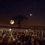 金星离地球最近，为什么不登陆金星？