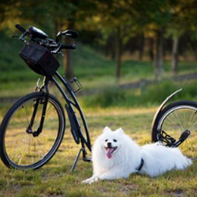 瞎扯 · 如何正确地吐槽