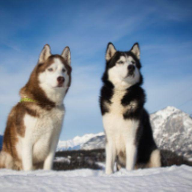 瞎扯 · 如何正确地吐槽