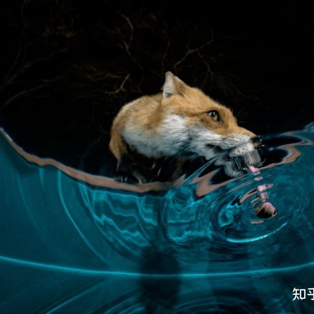 如何看待后期让照片成为照骗，真正好的摄影作品有哪些特点？