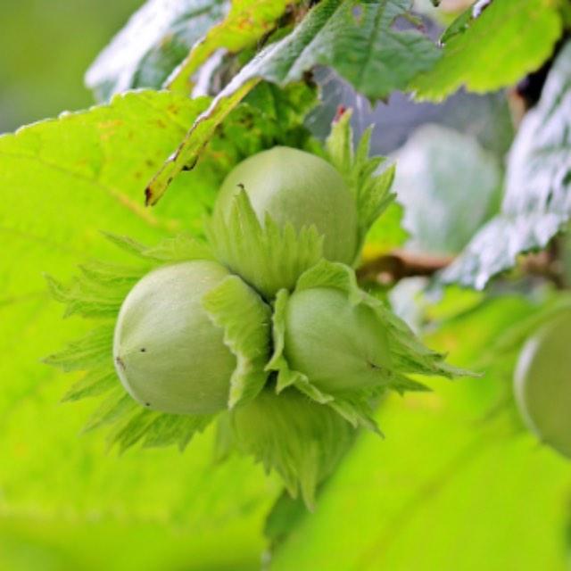 瞎扯 · 如何正确地吐槽