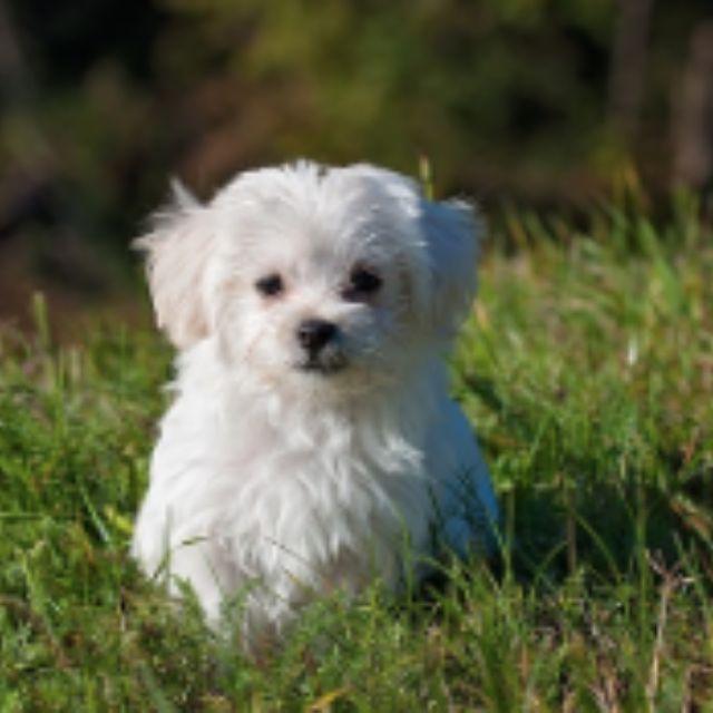 瞎扯 · 如何正确地吐槽