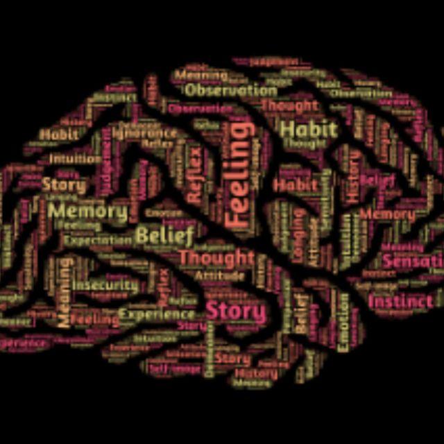 记忆是怎么在大脑形成的？