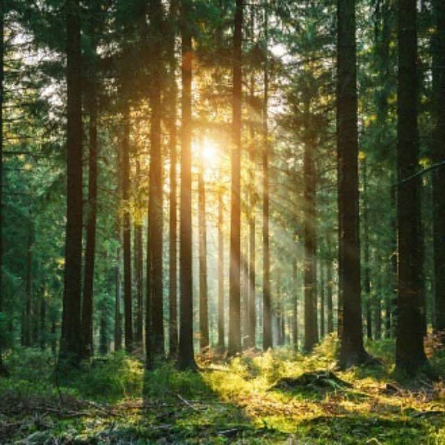 为什么神农架林区深处不允许前往？