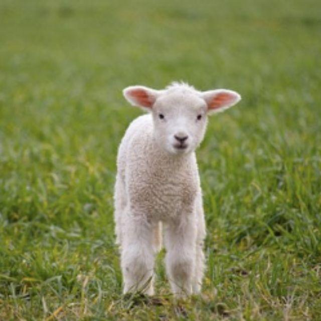 瞎扯 · 如何正确地吐槽