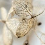 瞎扯 · 如何正确地吐槽