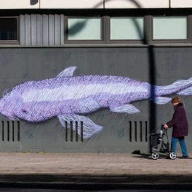 如果人类是由鱼进化而来的，为什么我们反而不能在水里呼吸呢？