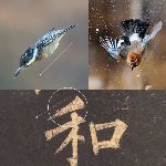 瞎扯 · 如何正确地吐槽