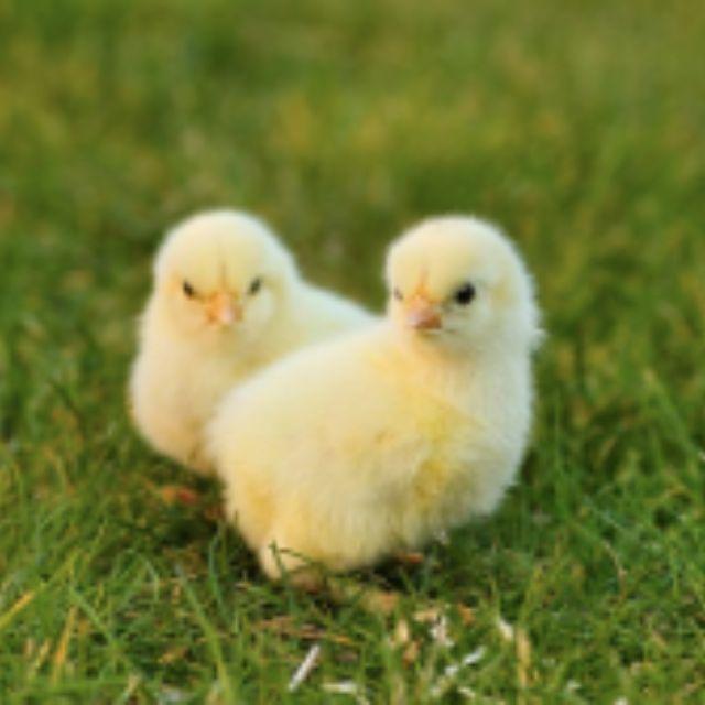 瞎扯 · 如何正确地吐槽