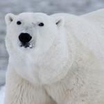 瞎扯 · 如何正确地吐槽