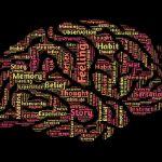 为什么只有人类进化出高度发达的大脑？