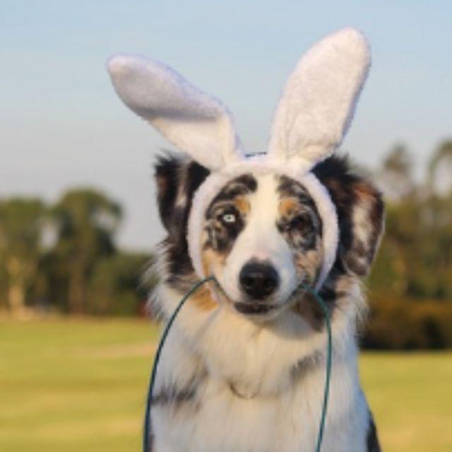 瞎扯 · 如何正确地吐槽