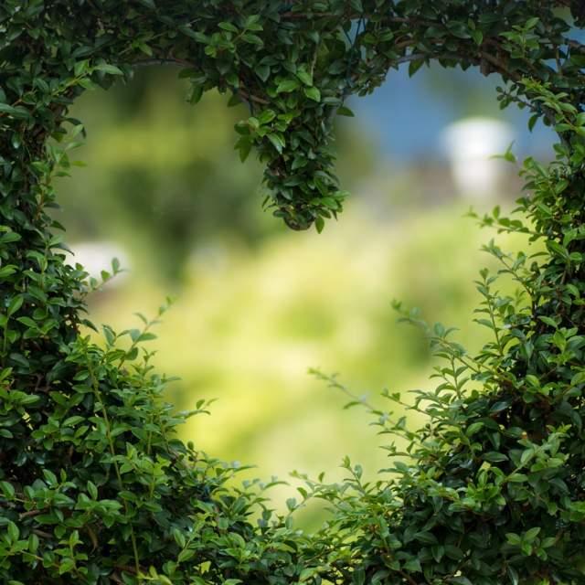 小事 · 「我一大把喜欢你」