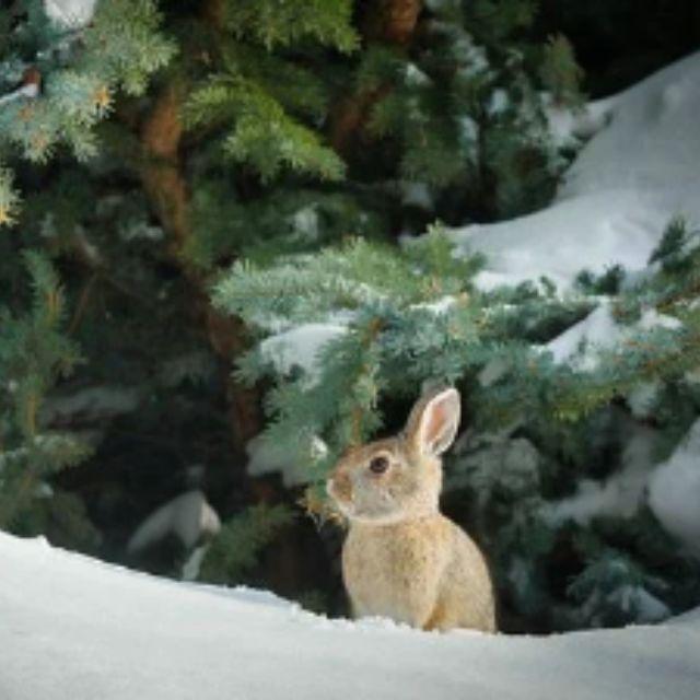 瞎扯 · 如何正确地吐槽