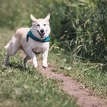 瞎扯·如何正确地吐槽