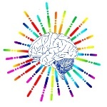 人的大脑为什么不长在胸腔里，或者说大多动物大脑都在头部，为什么？