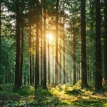 为什么神农架林区深处不允许前往？