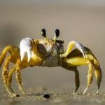 小事 · 有哪些让你心酸的故事？