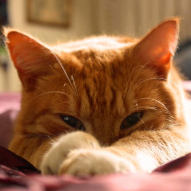 小事 · 你曾经被哪些事情弄的莫名感动，那种情愫还难以名状？