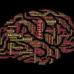 记忆是怎么在大脑形成的？