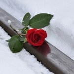 瞎扯·如何正确地吐槽