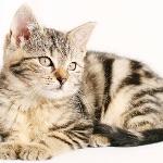 瞎扯 · 如何正确地吐槽