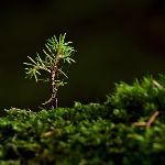 什么是你领悟最深的人生真谛？