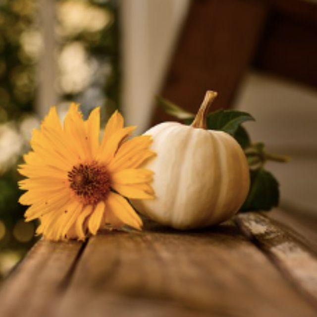 小事 · 目前为止，你总结出的最大人生经验是什么？