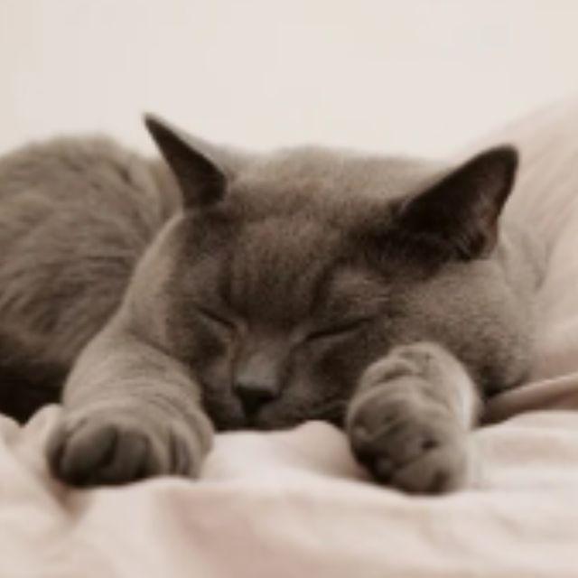 瞎扯 · 如何正确地吐槽