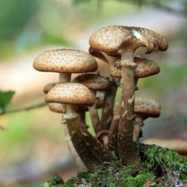 瞎扯 · 如何正确地吐槽