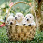 瞎扯 · 如何正确地吐槽