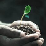 植物在进化史上是如何登陆的？