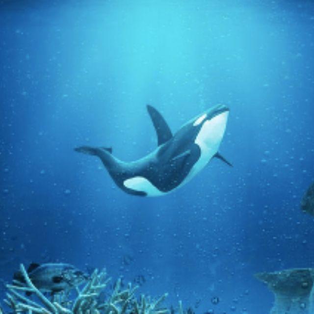 中国有哪些特有物种？