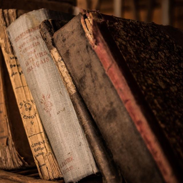 为什么托尔斯泰的作品中有大量的法语？