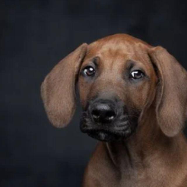 瞎扯 · 如何正确地吐槽