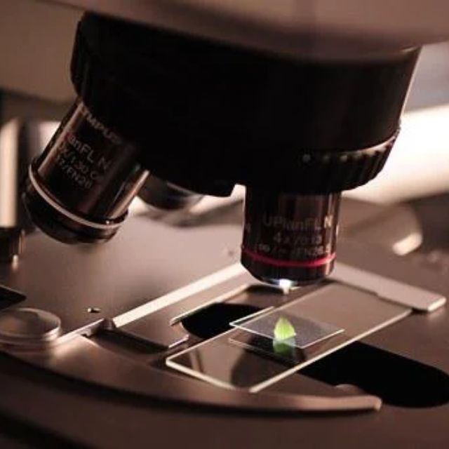 瞎扯 · 如何正确地吐槽