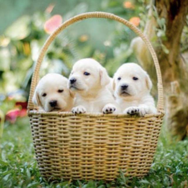 瞎扯 · 如何正确地吐槽