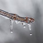 如「温带大陆性气候」这样的名称是如何确定的？