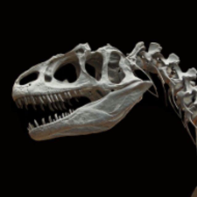 为什么古生物都长的比较吓人?