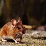 瞎扯 · 如何正确地吐槽