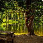 多地推出与景区实景结合剧本杀项目，该模式是昙花一现还是未来可期？