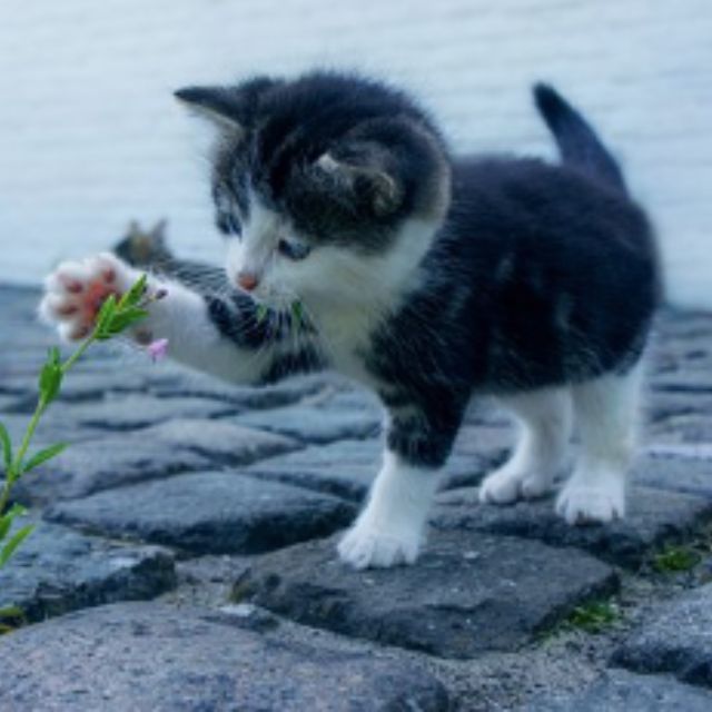 瞎扯 · 如何正确地吐槽