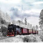 小事 · 最爱的人突然去世后，你每天怎么过的？