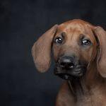 瞎扯 · 如何正确地吐槽