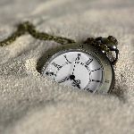 时间是什么，其它生物怎么感知时间?