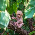 瞎扯 · 如何正确地吐槽