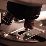 瞎扯 · 如何正确地吐槽