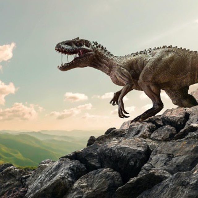 恐龙早就灭绝了,那我们怎么知道恐龙长什么样子呢?